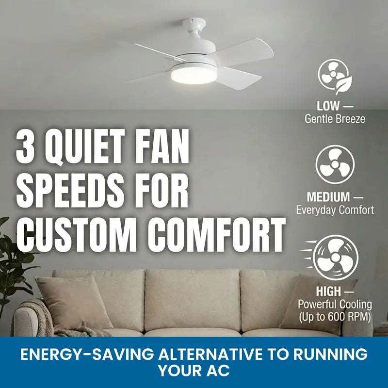 LED Socket Ceiling Fan