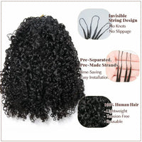 Kinky Curly